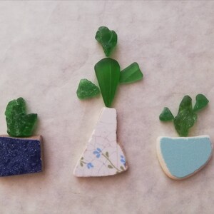Sea Glass Beach Glass Ceramic Set Plants Potted Plants Cactus Cactus House Plant Home in Green No. 83