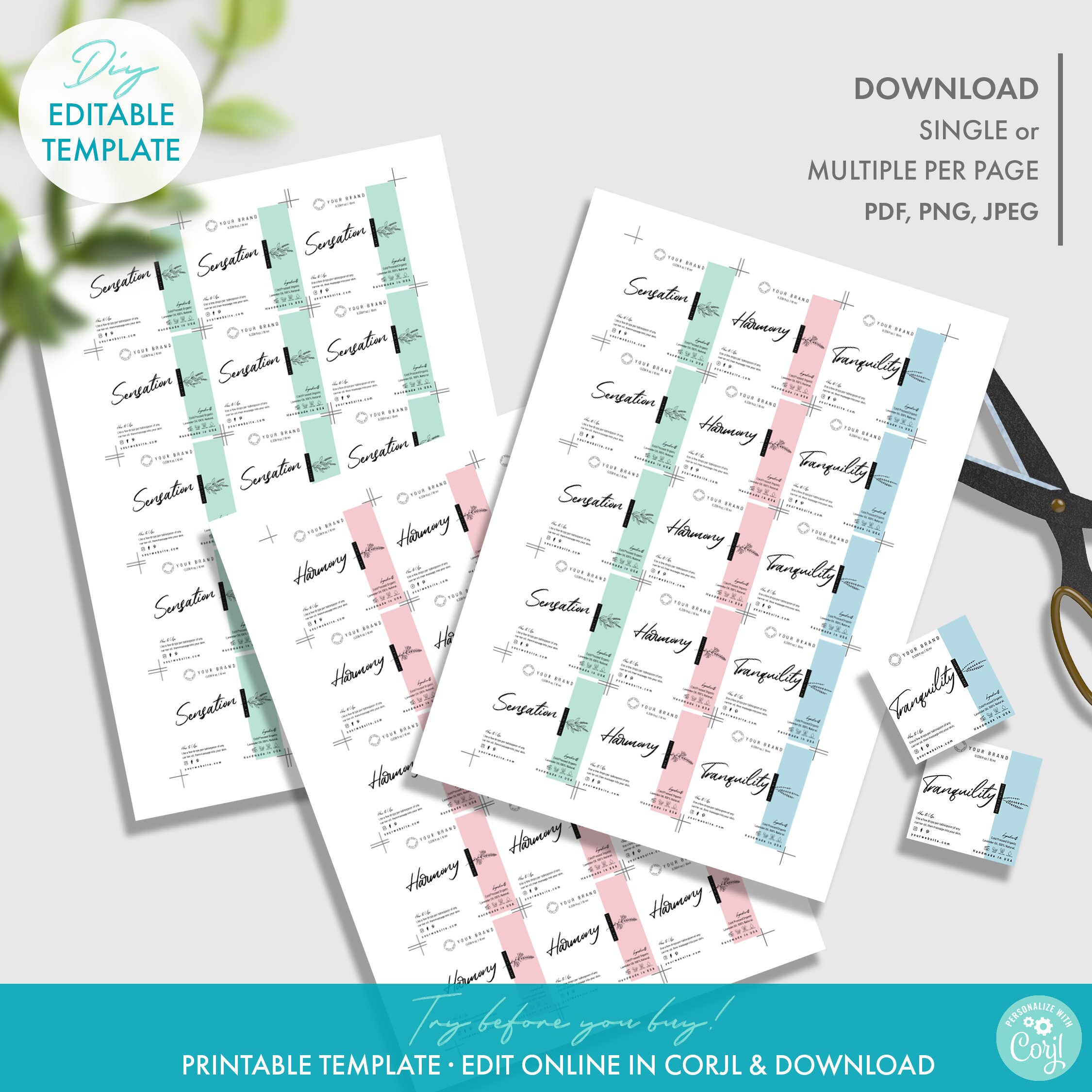 Editable Roller Bottle Label Template Printable 10 Ml Etsy