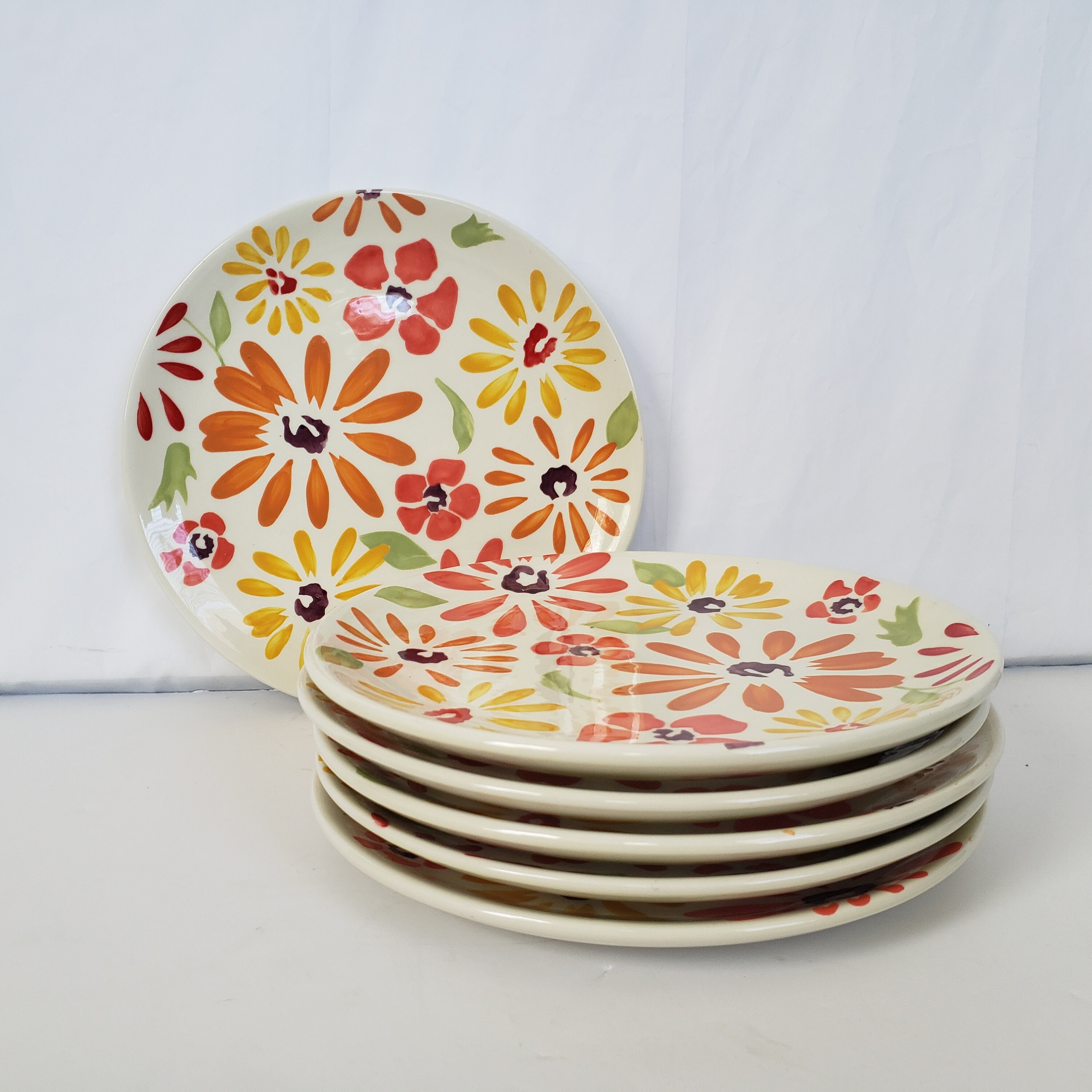Pier 1 'Flowers' Dinner Plates Set Of 6 Etsy