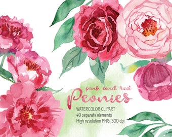 Watercolor Peonies Clipart | Watercolour Flowers Clip Art set | Digital | Floral | Hand Painted Wedding graphics | Invitations