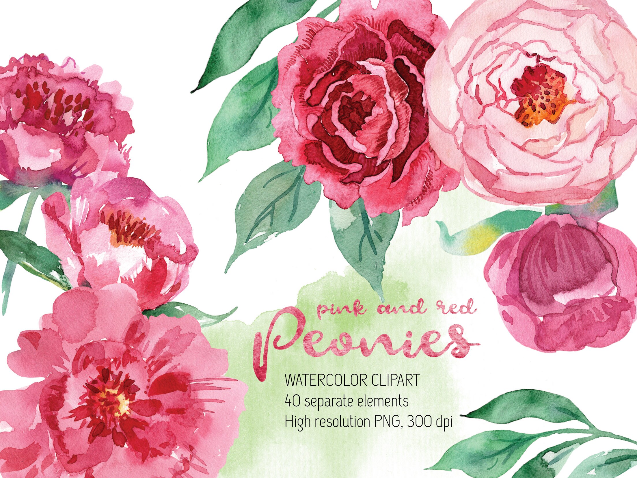 WEDDING CLIPART floral clipart DIY clipart wedding invitations separate flowers handpainted flowers Watercolor peonies flowers clipart