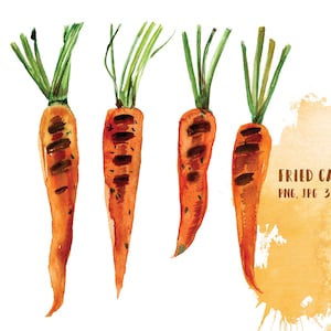 Watercolor Fried Carrots | Watercolour Drawing | Clipart | Vegetables | Food Clip Art | PNG | Cookbook Clipart | Food illustration