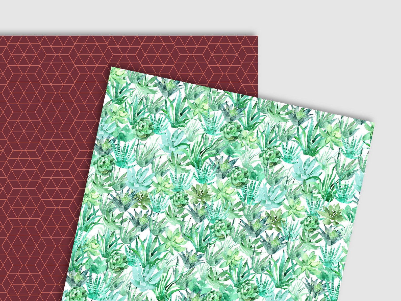 Watercolor Marsala Flowers and Mint Cactus Succulents Digital Paper ...