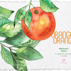 Watercolor Orange Clipart | watercolour fruit wreath | hand Painted Orange | hand drawn illustration | fruit clip art