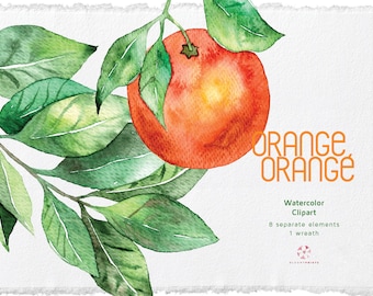 Watercolor Orange Clipart | watercolour fruit wreath | hand Painted Orange | hand drawn illustration | fruit clip art