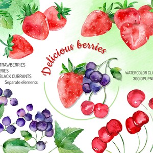 Clipart z jagodami w akwareli | wiśnia | czarna porzeczka | truskawka | cyfrowy | natychmiastowe pobieranie | png | oddzielne elementy | grafika jagodowa