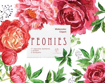 Watercolor Peonies Clipart | Watercolour Flowers Clip Art set | Digital | Floral | Hand Painted Wedding graphics | Invitations | boho