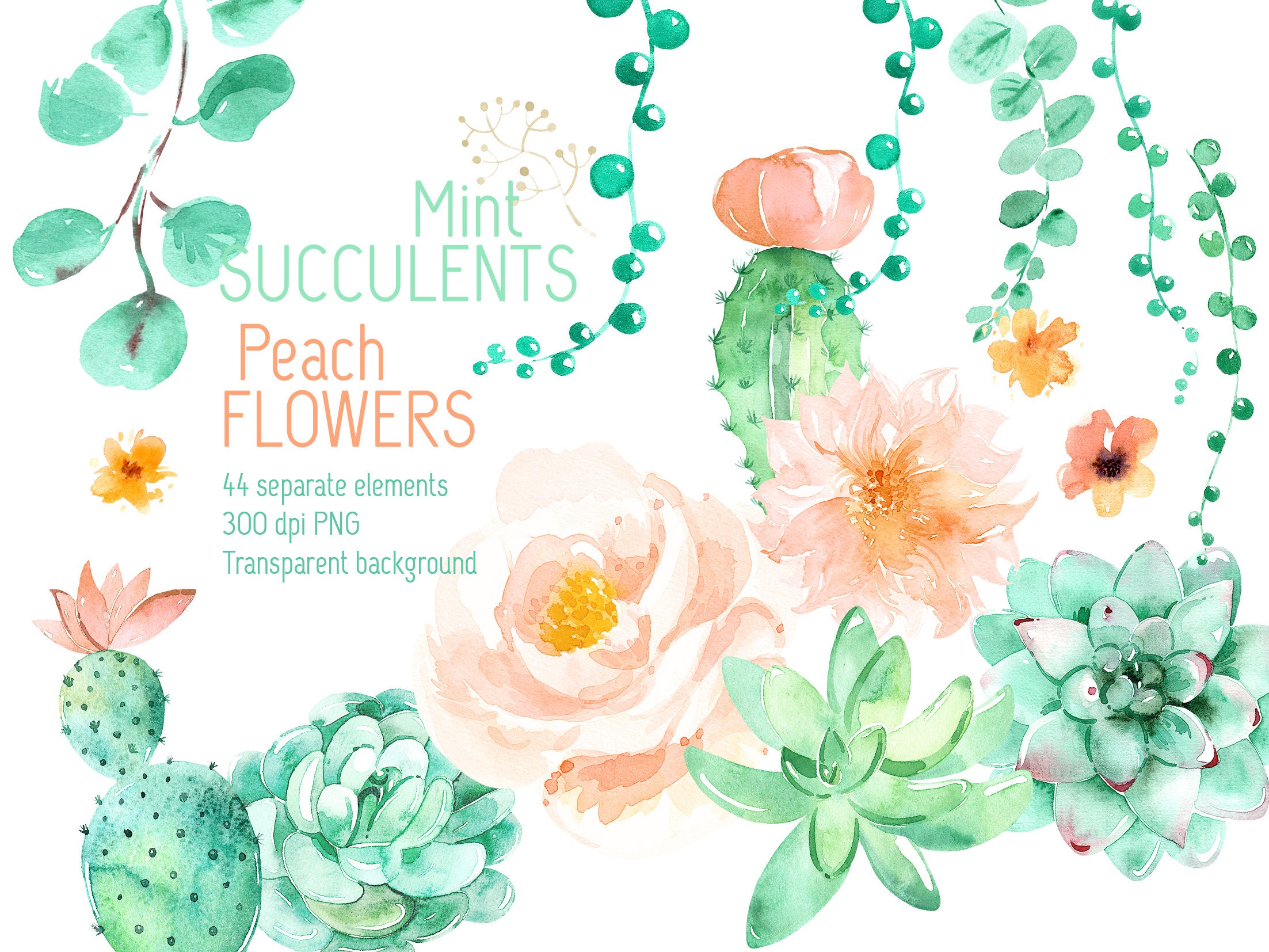Mint Succulents Peach Flowers separate elements kit | Watercolor Flowers set | Cactus Clip Art PNG | Desert wedding graphics |  invitations