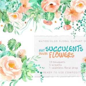 Mint Peach Succulent Clipart Set | Aquarel zachtroze bloemen | Cactus Illustraties | Woestijn bruiloft graphics |  uitnodigingen | Pastelrozen