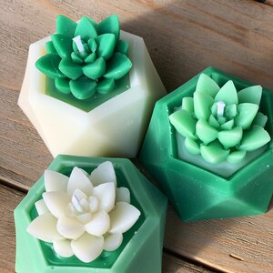 Succulent Candle Set image 3