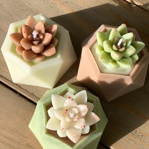 Succulent Candle Set