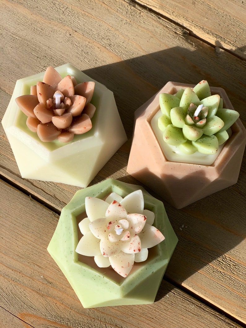 Succulent Candle Set image 1