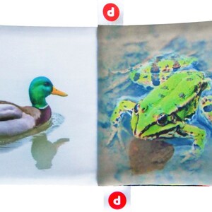 May include: A soft, fabric book with two pages. The left page features a green-headed mallard duck swimming in a blue pond. The right page features a green frog sitting on a rock in a blue pond.