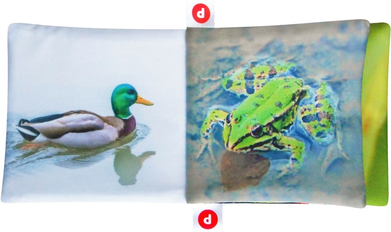 May include: A soft, fabric book with two pages. The left page features a green-headed mallard duck swimming in a blue pond. The right page features a green frog sitting on a rock in a blue pond.