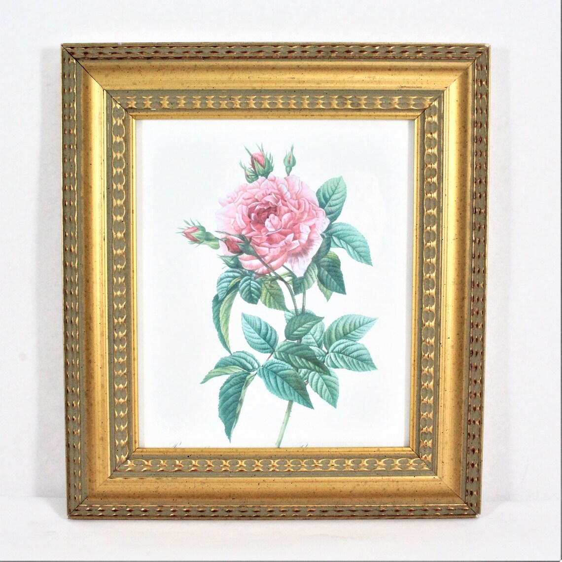 Gold Frames with Vintage Prints 3 Framed Roses wall art set Etsy