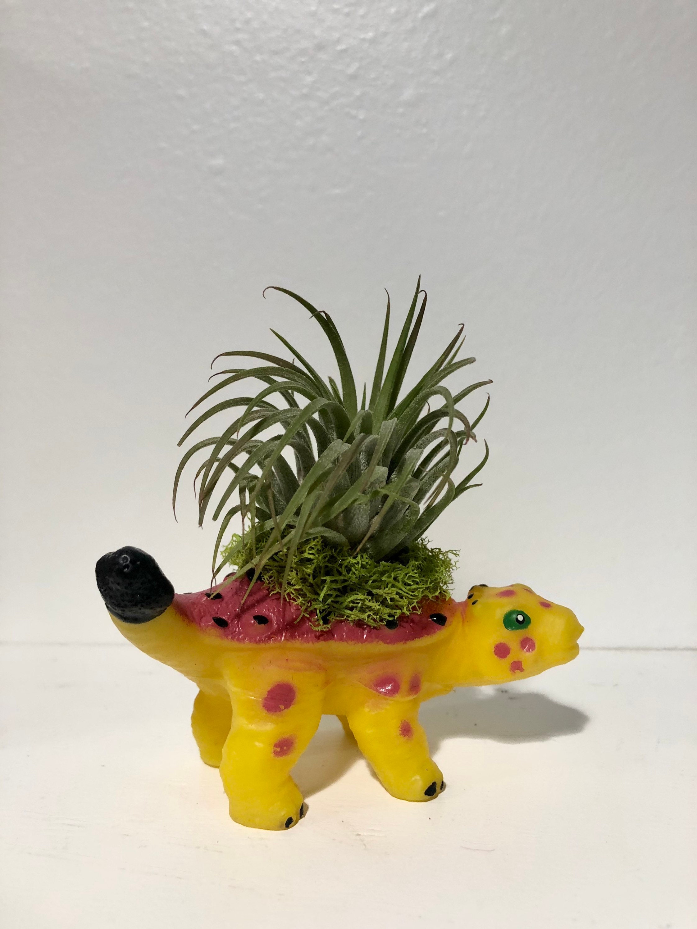 Dinosaur Toy Planter w/ Air Plant Live or Faux Etsy