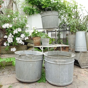 May include: A collection of galvanised metal buckets of different sizes, some on a metal plant stand, others on the ground. The scene is set outdoors, surrounded by green plants and white flowers, creating a rustic garden setting.