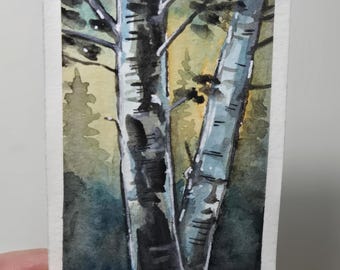 ACEO Birch Watercolour Painting 2.5x3.5 inch