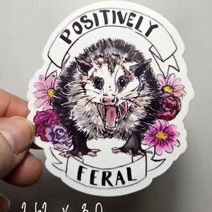 Positively Feral Possum Sticker 2,62 x 3 inch vinylsticker Possum Feral