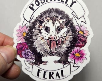 Positively Feral Possum Sticker 2.62x3 inch vinyl sticker possum feral