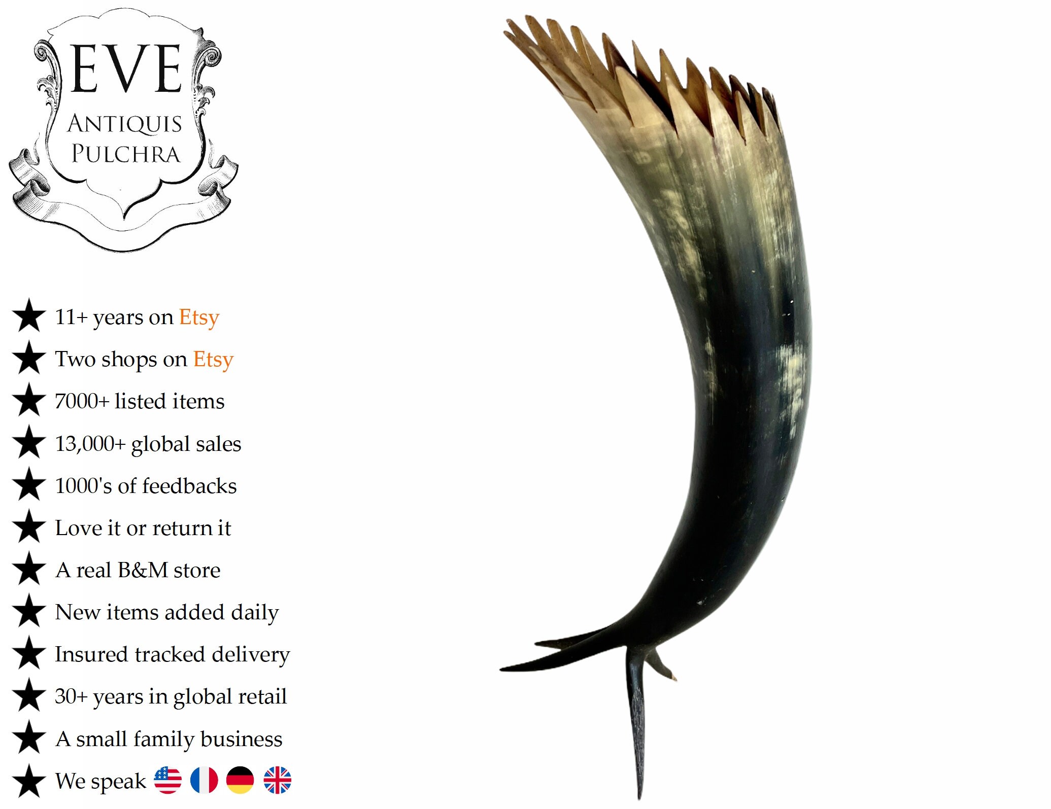 Vintage Français Vache Taureau Bovin Beef Horn Trophy Ornement Affichage Décor Taxidermie Pavillon d