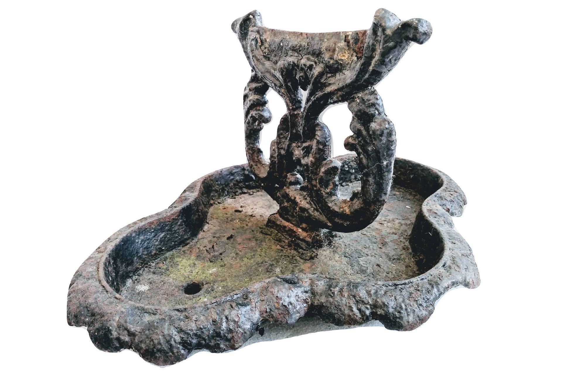 Krumpholz | 1011 - Raschietto Da Giardino A 4 Punte - Manico In - Foto 5