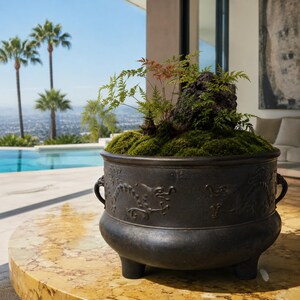 May include: A dark bronze planter with a dragon motif, containing green moss, small plants, and a rock feature. The planter has three legs and two handles. The background shows a swimming pool and palm trees.