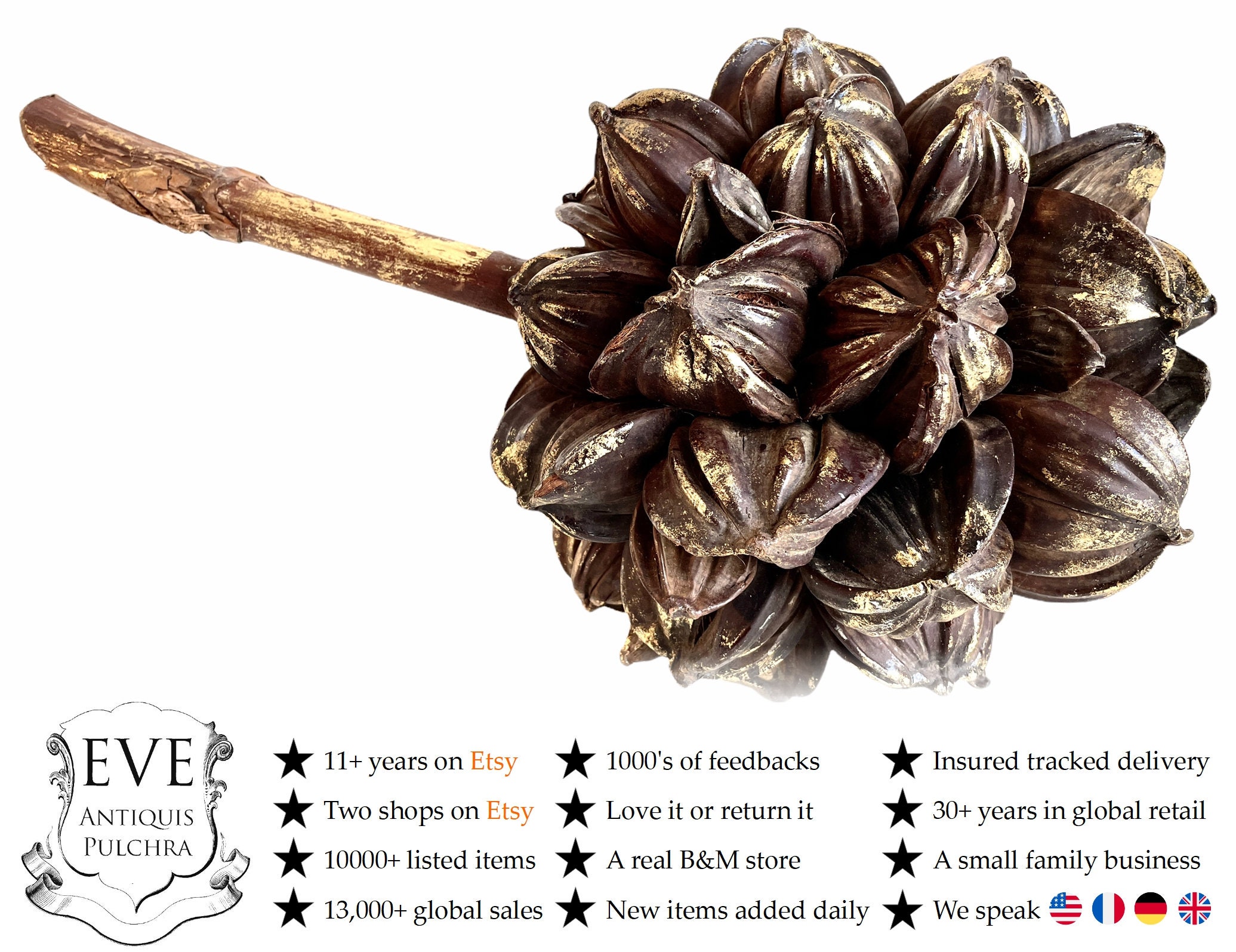 Vintage Vietnamien Grande Eau Noix de Coco Décoratif Or Décoré Plante Bois Ornement Asiatique Séchée