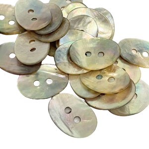 Può includere: Un mucchio di bottoni ovali in madreperla iridescente con due fori ciascuno. I bottoni sono di colore beige chiaro con un leggero luccichio.