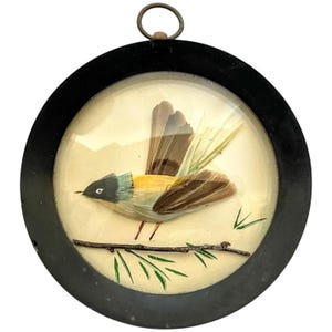 Vintage French Multimedia Feather Branch Painted Framed Bird Art Artwork Curio Framed Wall Hanging c1950&#39;s / EVE