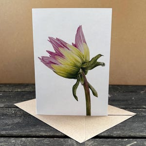 Dahlia Bud Greeting Card: Botanical Art, Recycled Paper