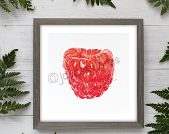 Impresión artística de acuarela de frambuesa: Decoración botánica para la cocina