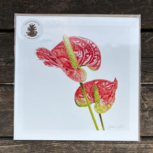 Anthurium Watercolor Art Print: Botanical Wall Decor, Signed 8x8&quot;