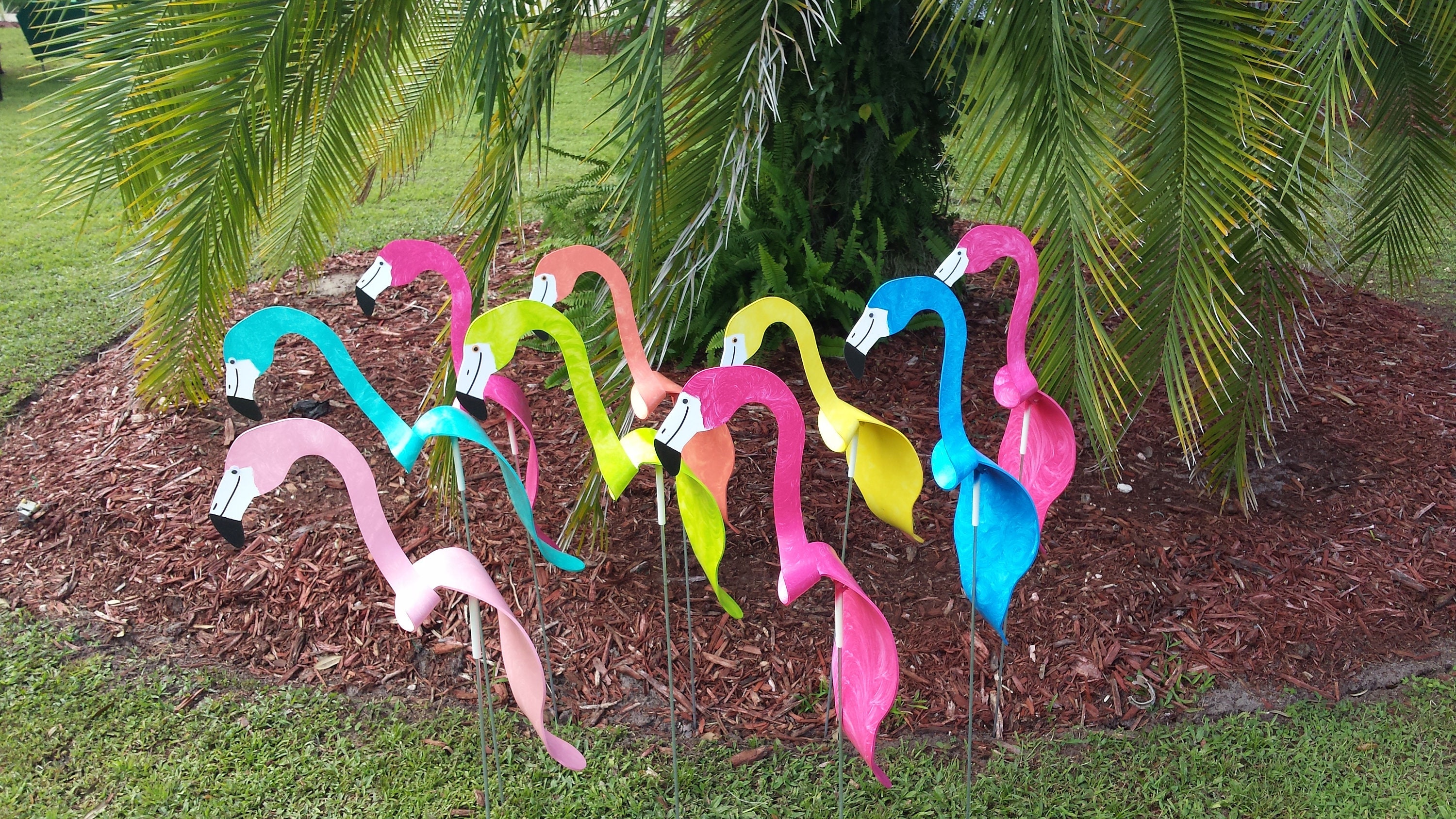 ANY 2 Large Flamingos Bobbing Bird Dancing Balancing Kinetic | Etsy India