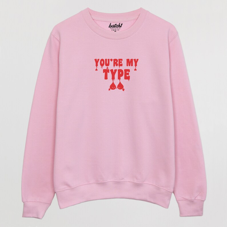 You're My Type Women's Slogan Sweatshirt image 5