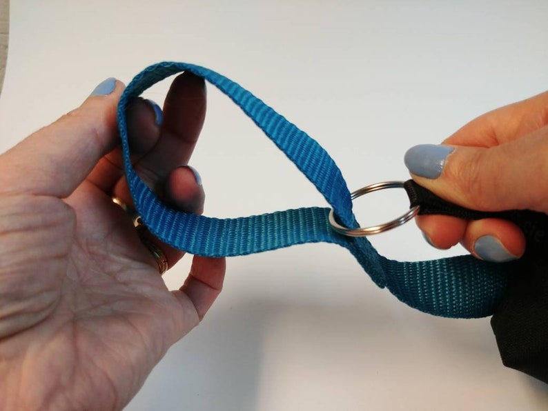 clings to the leash Pocket roll bag to collect small nature of your pet poop