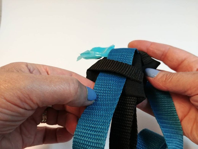 clings to the leash Pocket roll bag to collect small nature of your pet poop