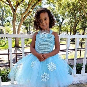 frozen fever birthday dress Elsa Fever, Elsa Frozen Adult Costume, Disney Inspired Costume