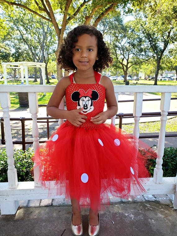minnie mouse tutu dress for 1st birthday Minnie mouse costume. Baby girl minnie mouse costume. Brithday minnie mouse  dress. Pink minnie mouse dress. 1st Birthday dress. – Kids Dressy