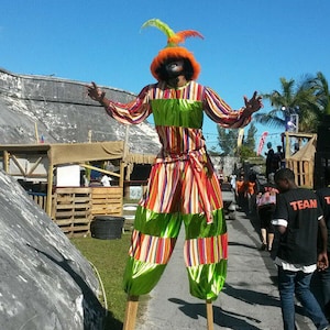 Halloween Mosca Artista Callejero Mosca Payaso Disfraz Cosplay