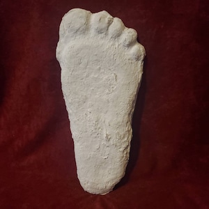 Patterson-Gimlin Bigfoot Cast -  Cryptid Full-Size Original Foot Print 14"