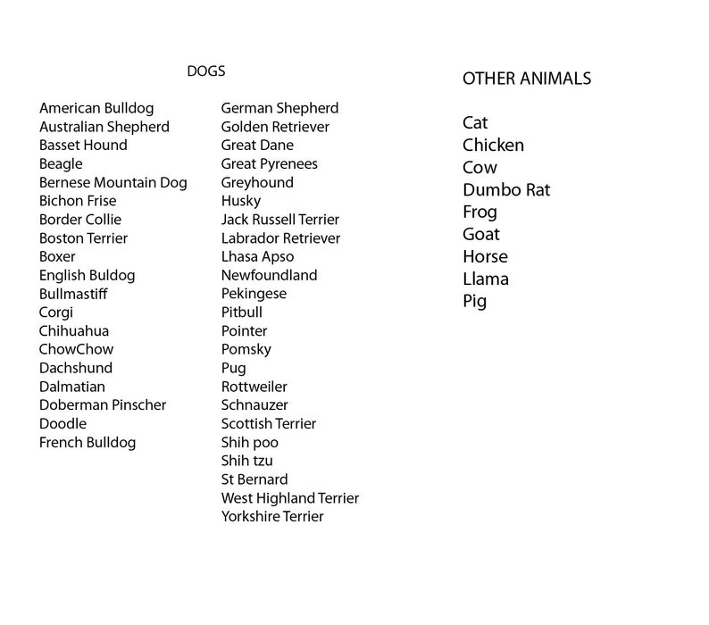 K&ouml;nnte beinhalten: Eine Liste von Hunderassen und anderen Tieren. Die Liste umfasst Rassen wie American Bulldog, Australian Shepherd, Beagle, Berner Sennenhund, Bichon Frise, Border Collie, Boston Terrier, Boxer, Englische Bulldogge, Bullmastiff, Corgi, Chihuahua, Chow Chow, Dackel, Dalmatiner, Dobermann Pinscher, Pudel, Franz&ouml;sische Bulldogge, Deutscher Sch&auml;ferhund, Golden Retriever, Deutsche Dogge, Pyren&auml;enberghund, Windhund, Husky, Jack Russell Terrier, Labrador Retriever, Lhasa Apso, Neufundl&auml;nder, Pekinese, Pitbull, Pointer, Pomsky, Mops, Rottweiler, Schnauzer, Schottischer Terrier, Shih poo, Shih tzu, Bernhardiner, West Highland Terrier, Yorkshire Terrier. Die Liste der anderen Tiere umfasst Katze, Huhn, Kuh, Dumbo-Ratte, Frosch, Ziege, Pferd, Lama und Schwein.