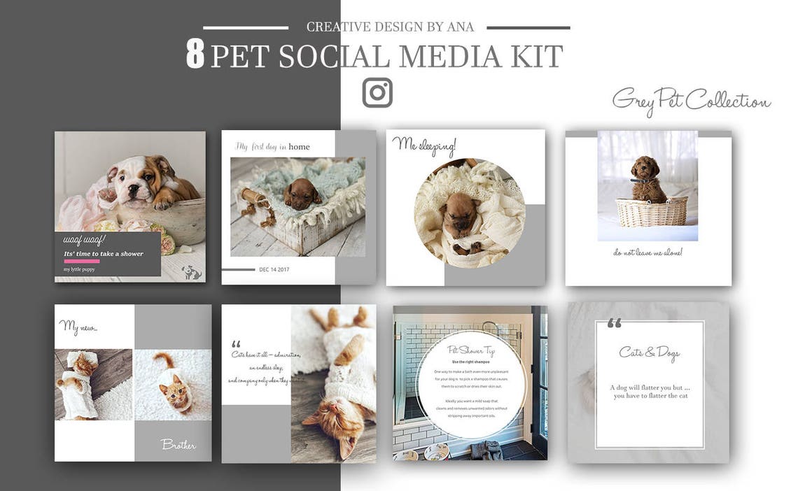 Pet Social Media Kit Template Social Media Post Pack 8 Set Etsy