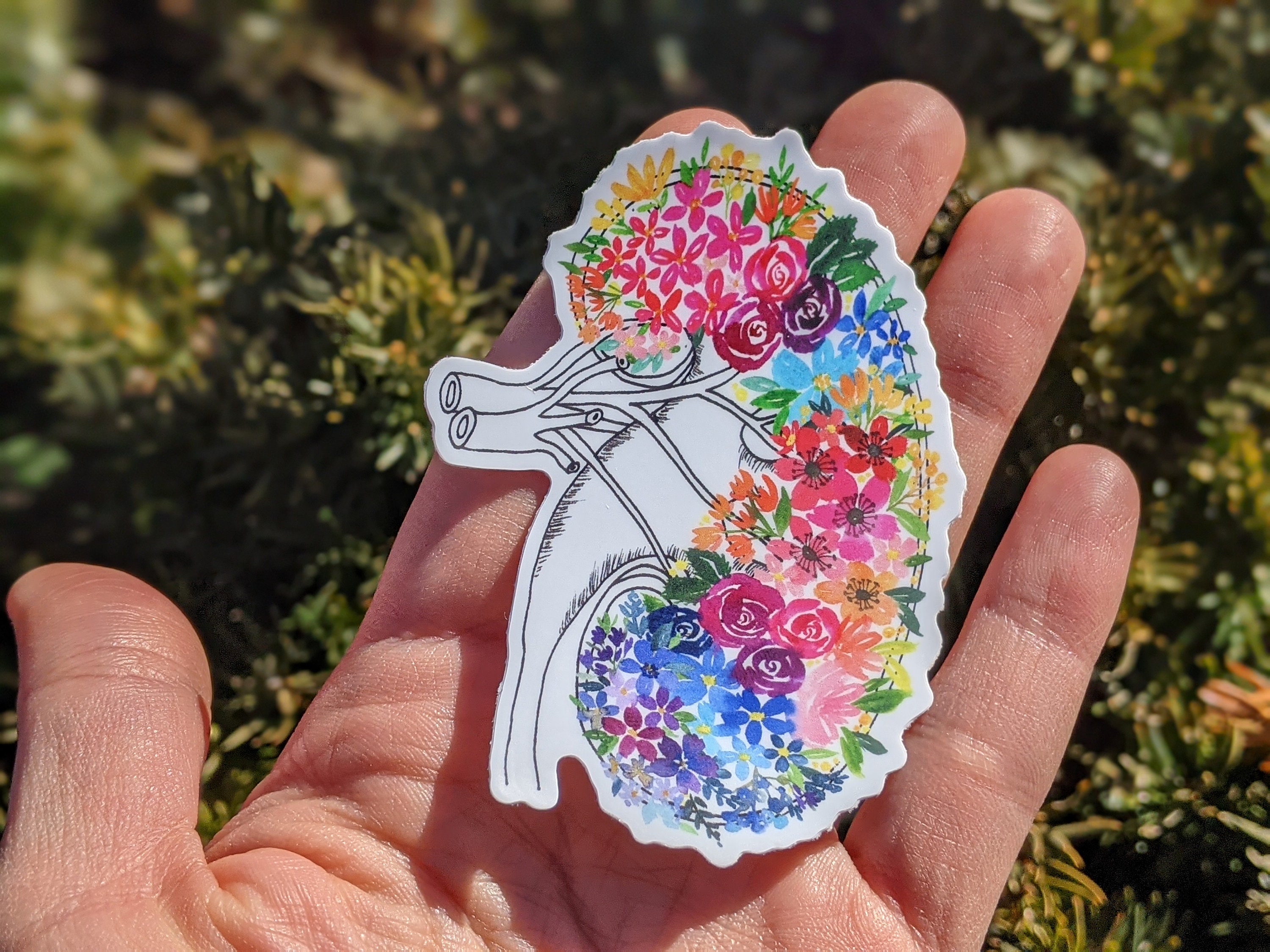 Anatomical Kidney floral vinyl sticker. Flower vinyl decal sticker.  …