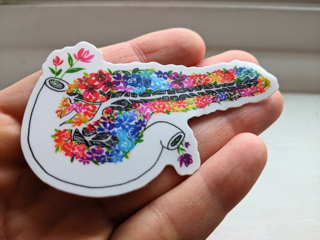 Watercolor Pancreas Flower Vinyl Sticker: Medical Gift - Etsy