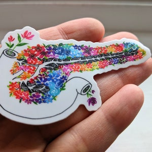 Anatomical pancreas flower vinyl sticker, gift for medical, doctors, nurses. Gastroenterology, endocrinology, pancreas transplant, cancer