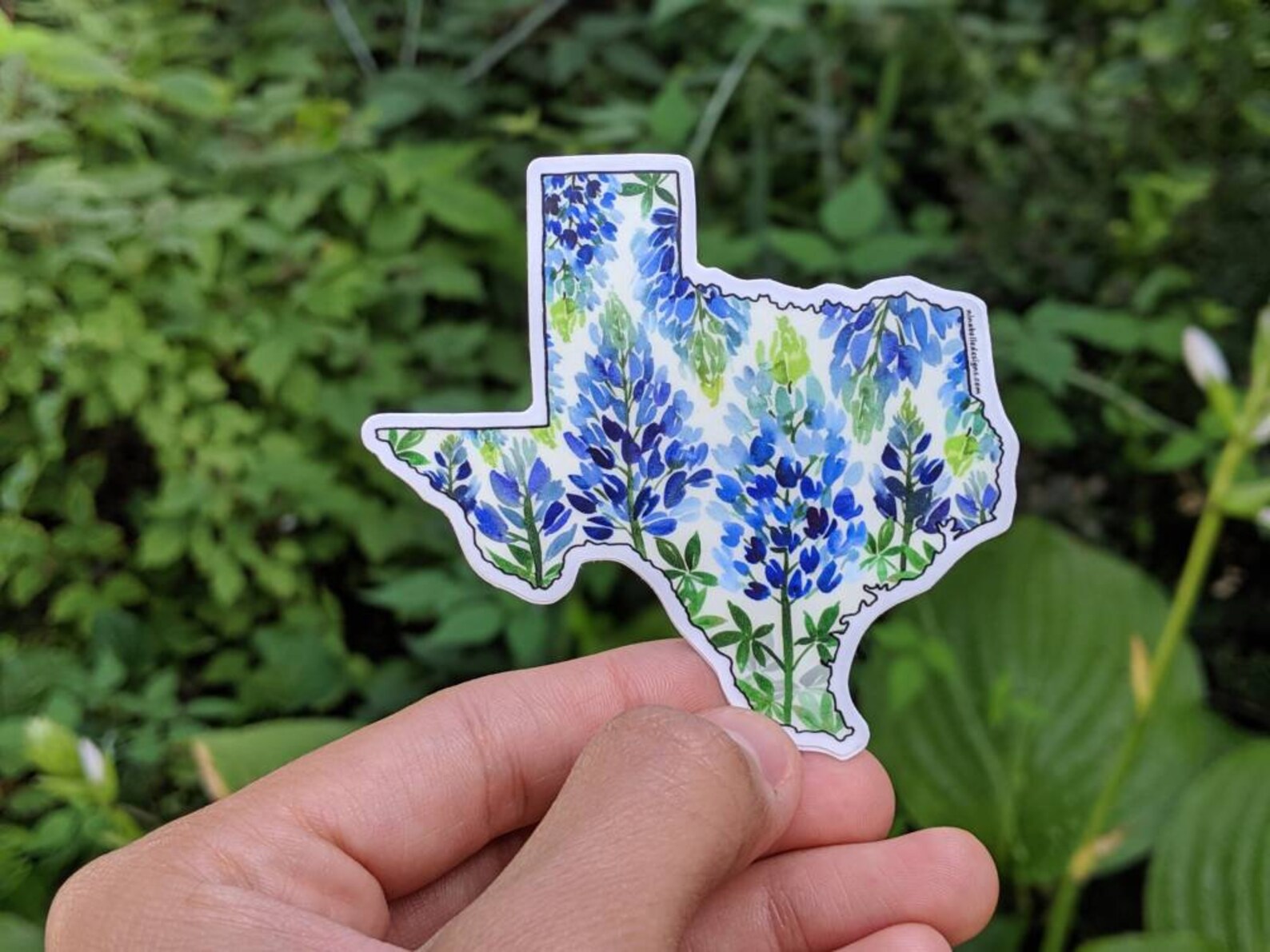 Texas Sticker. Texas Decal. Texas. Stickers Laptop. Stickers. Etsy