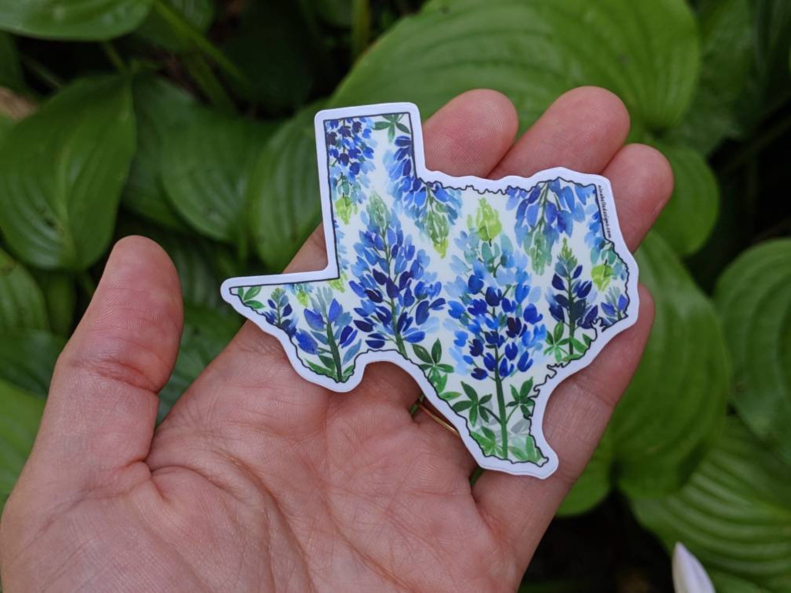 Texas Sticker. Texas Decal. Texas. Stickers Laptop. Stickers. Etsy