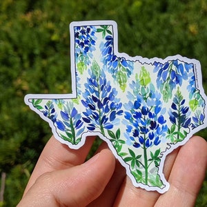 Texas State Magnet. Texas Bluebonnet state floral watercolor design fridge magnet. Texas Flower magnet.