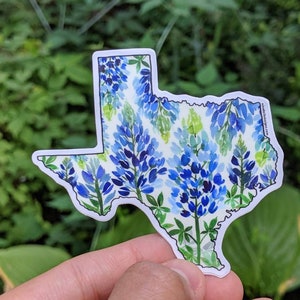 Texas Bluebonnet Sticker: State Flower Map, Vinyl Decal